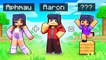 Aphmau and Aaron HAD A BABY in Minecraft!