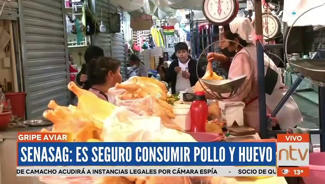 Senasag: "Es seguro comer pollo y huevo"