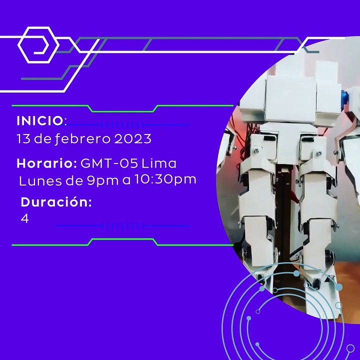 Robótica Minihumanoide LowCost