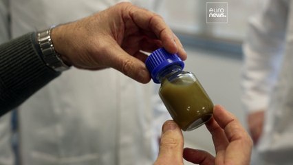 "Plásticos biodegradáveis devem limitar-se a um nicho", diz perito
