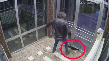 Görüntülere tepki yağmıştı! Sitede kediyi tekmeleyen şüpheli serbest bırakıldı