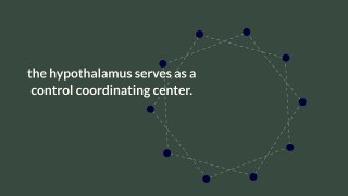 What is the Hypothalamus Gland?