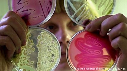 Microbes – the key to global food safety?