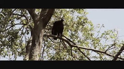 Let There Be Zombies | movie | 2015 | Official Trailer