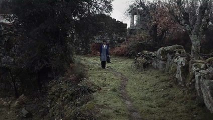 Outside the Oranges Are Blooming | movie | 2019 | Official Trailer