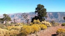 World Natural Heritage USA: Grand Canyon National Park | movie | 2012 | Official Trailer