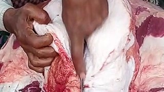 Fast meat cutting // Amazing beef cutting skills