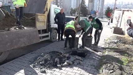 Esenyurt'ta sorunlar yeşillendirmeyle çözülüyor