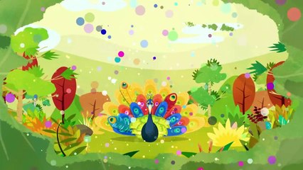 Como Kids - (EP14) - Cartoon video for kids