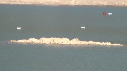 Doç. Dr. Ceyhun Özçelik: "Yağış azlığı yüzde 50 seviyelerine ulaştı"