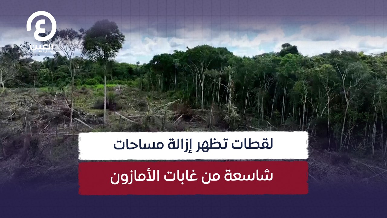 لقطات تظهر إزالة مساحات  شاسعة من غابات الأمازون