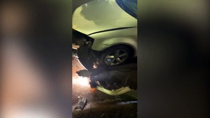 A drunk passenger left "trail of devastation" after nicking a bus while driver made a phone call