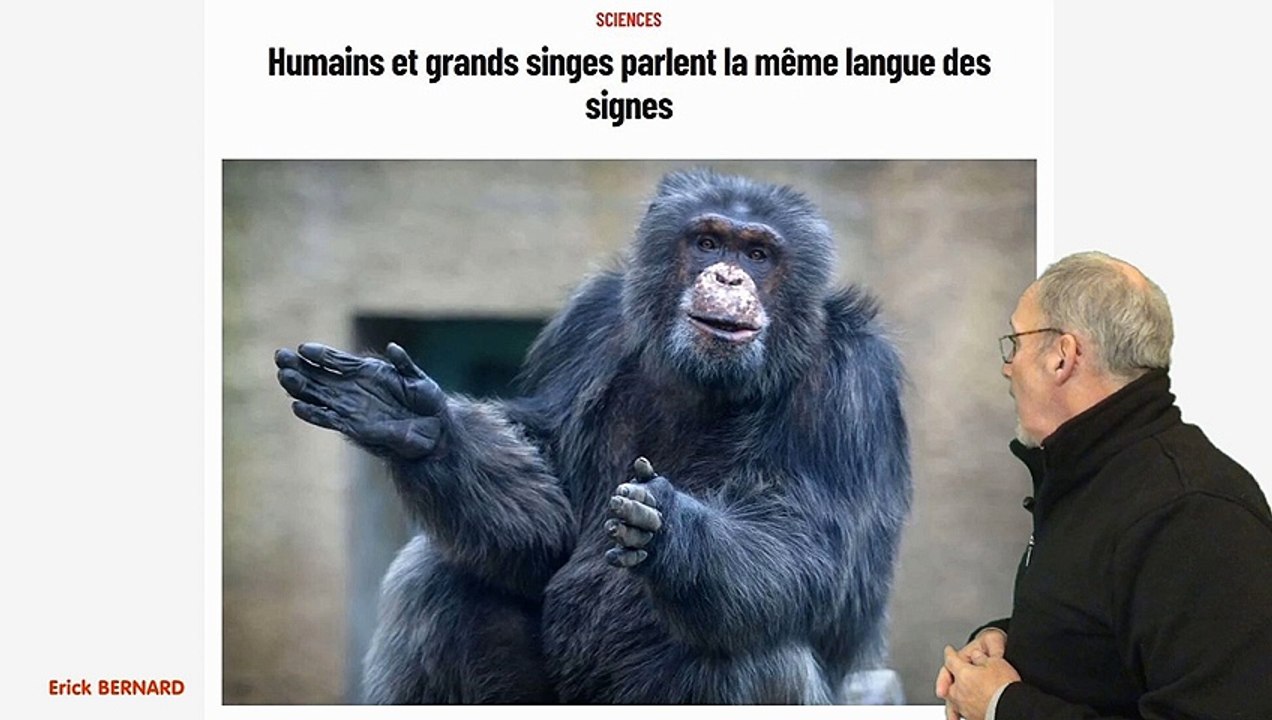 Entre les deux espèces