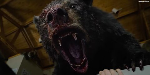Cocaine Bear : the Oscar teaser - a bear did cocaine !!!!!