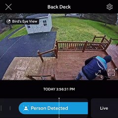 German Shepherd Won't Let Delivery Driver Take Picture