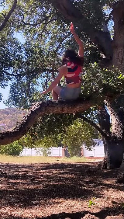 Chuter d'un arbre avec classe
