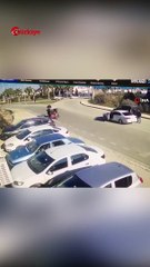 Köpeklerin Aklını Başından Aldı - Türkiye Gazetesi