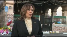 Kamala Harris chiede al Congresso regole sulle armi da fuoco