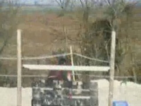 Histoires sans paroles