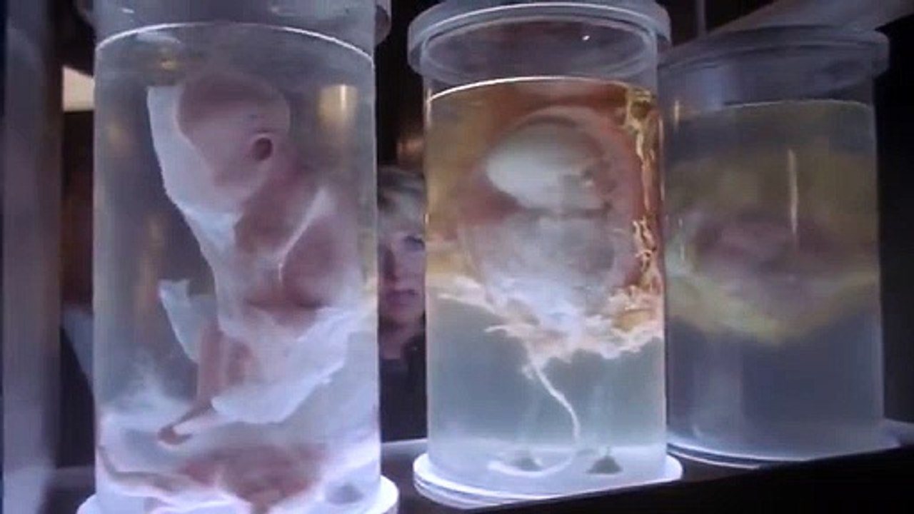 Stargate SG1 - Se7 - Ep19 - Resurrection HD Watch