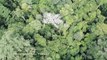 La actividad humana ha degradado más de un tercio de los bosques del Amazonas
