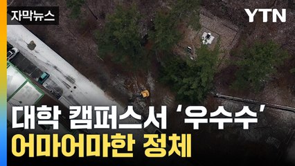 [자막뉴스] "일본 것 아니야?"...한 대학교서 무더기로 발견된 건 / YTN