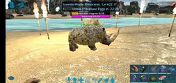 MARURATION  PROCESS OF WOLLY RHINO IN ARK MOBILE