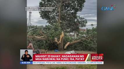 Mahigit 20 bahay, nadaganan ng mga nabuwal na puno; Isa, patay | UB
