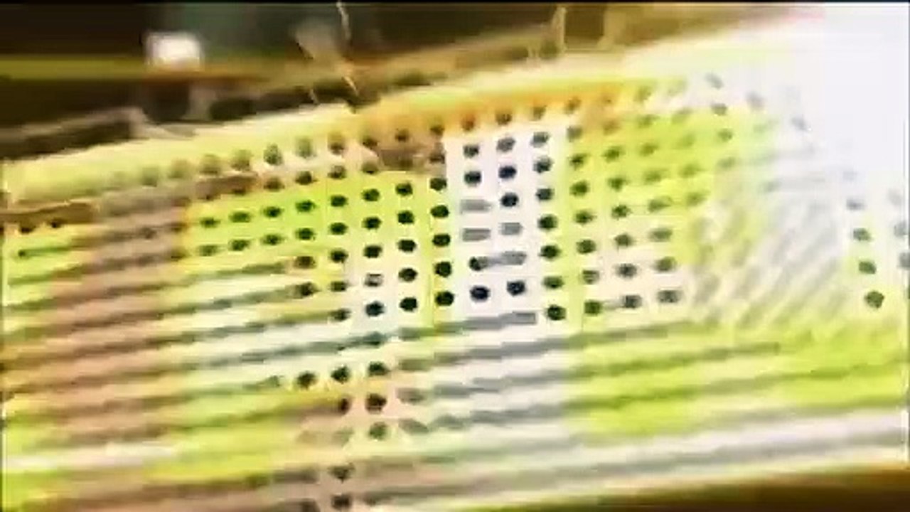 Celebrity Name Game - Se1 - Ep37 HD Watch