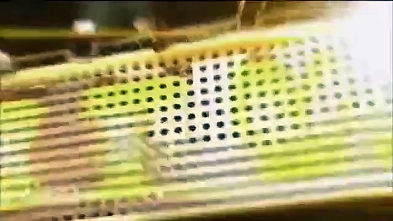 Celebrity Name Game - Se1 - Ep39 HD Watch