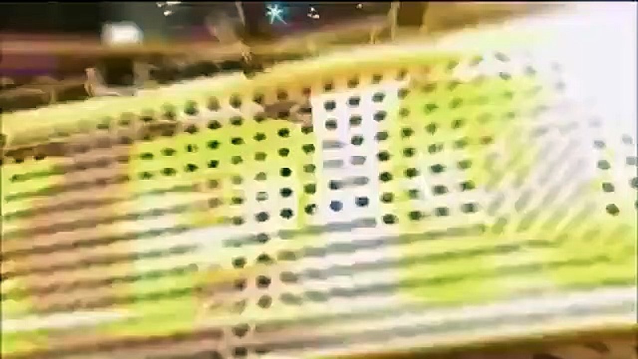 Celebrity Name Game - Se1 - Ep41 HD Watch