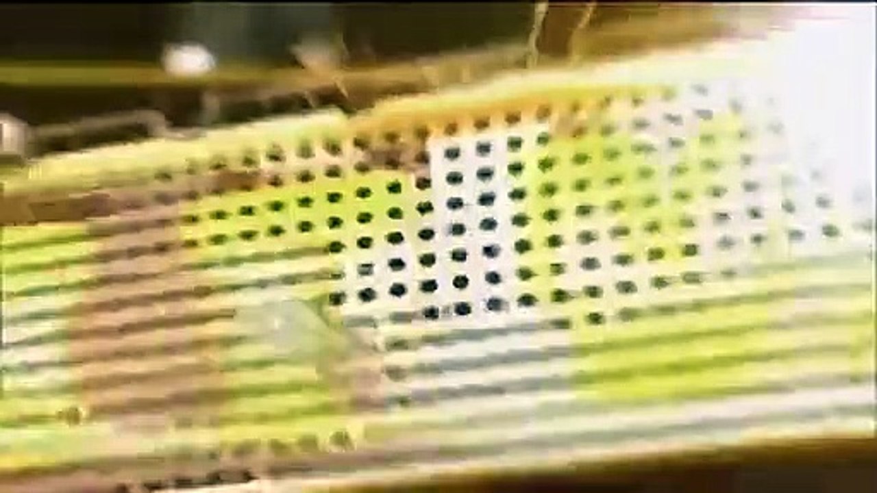 Celebrity Name Game - Se1 - Ep45 HD Watch