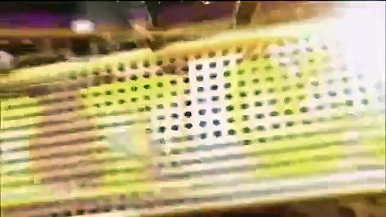 Celebrity Name Game - Se1 - Ep48 HD Watch