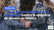“Casa de las siemprevivas”, un espacio contra la violencia de género en México