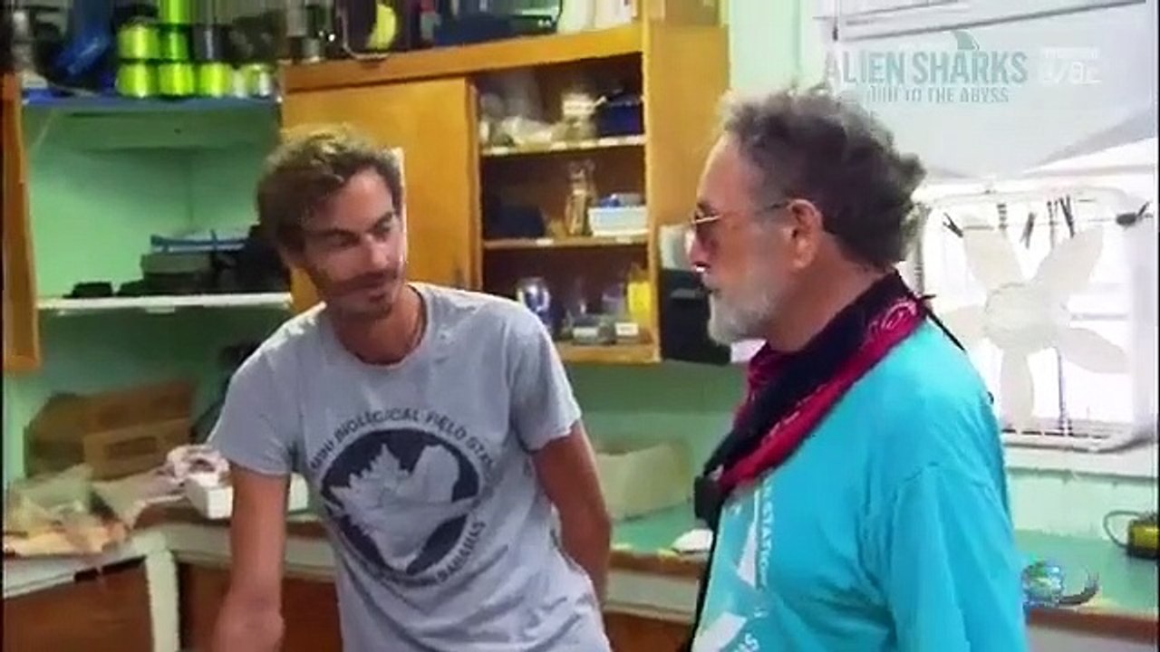 Shark Week - Se27 - Ep01 HD Watch