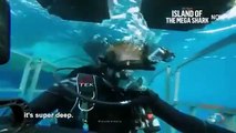 Shark Week - Se28 - Ep01 HD Watch