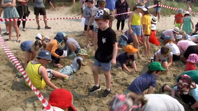 Australia Day has been celebrated at events around Tasmania, but the number of official celebrations is falling