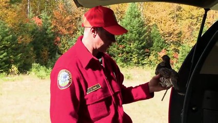 North Woods Law - Se12 - Ep08 - Decoy Detail HD Watch