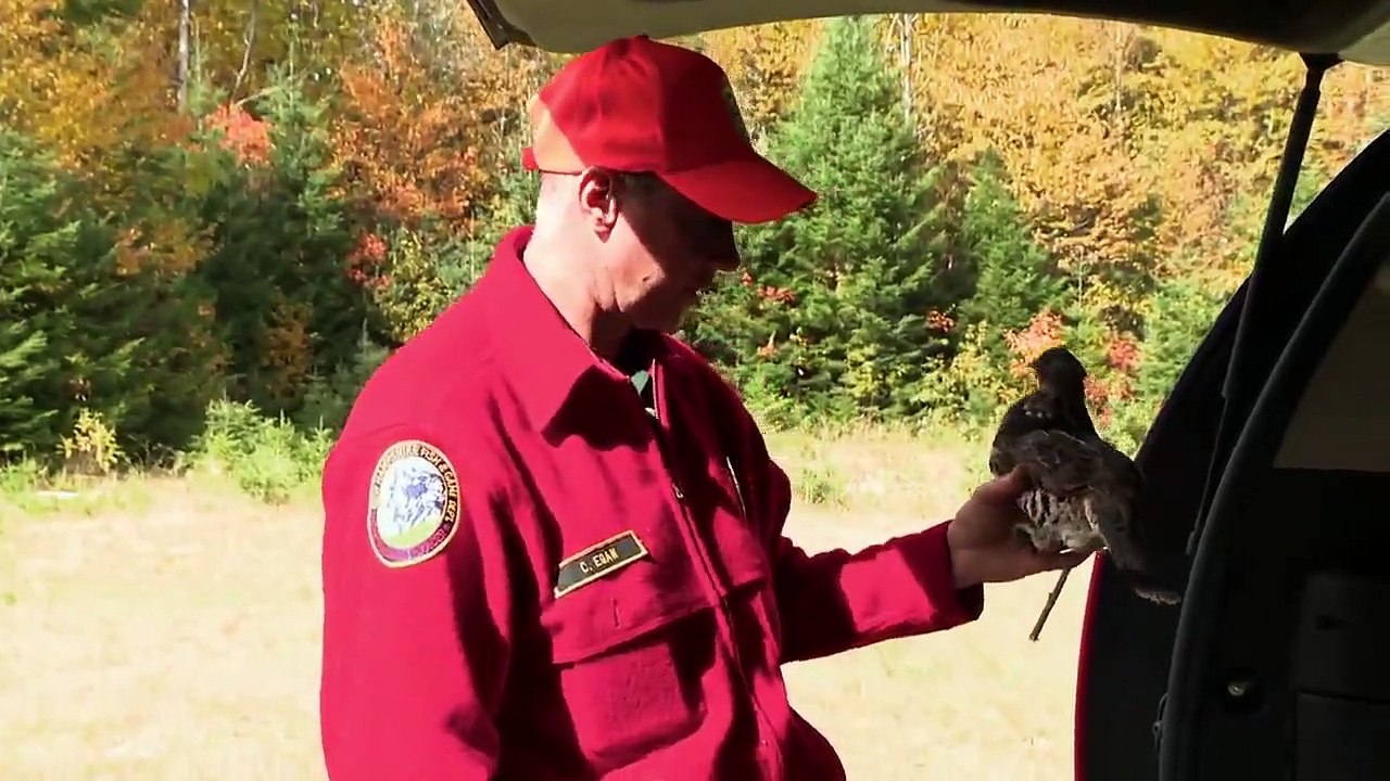 North Woods Law - Se12 - Ep08 - Decoy Detail HD Watch