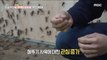 [HOT] Locusts Are Future Food' Young Farmers' Challenge,생방송 오늘 아침 230127