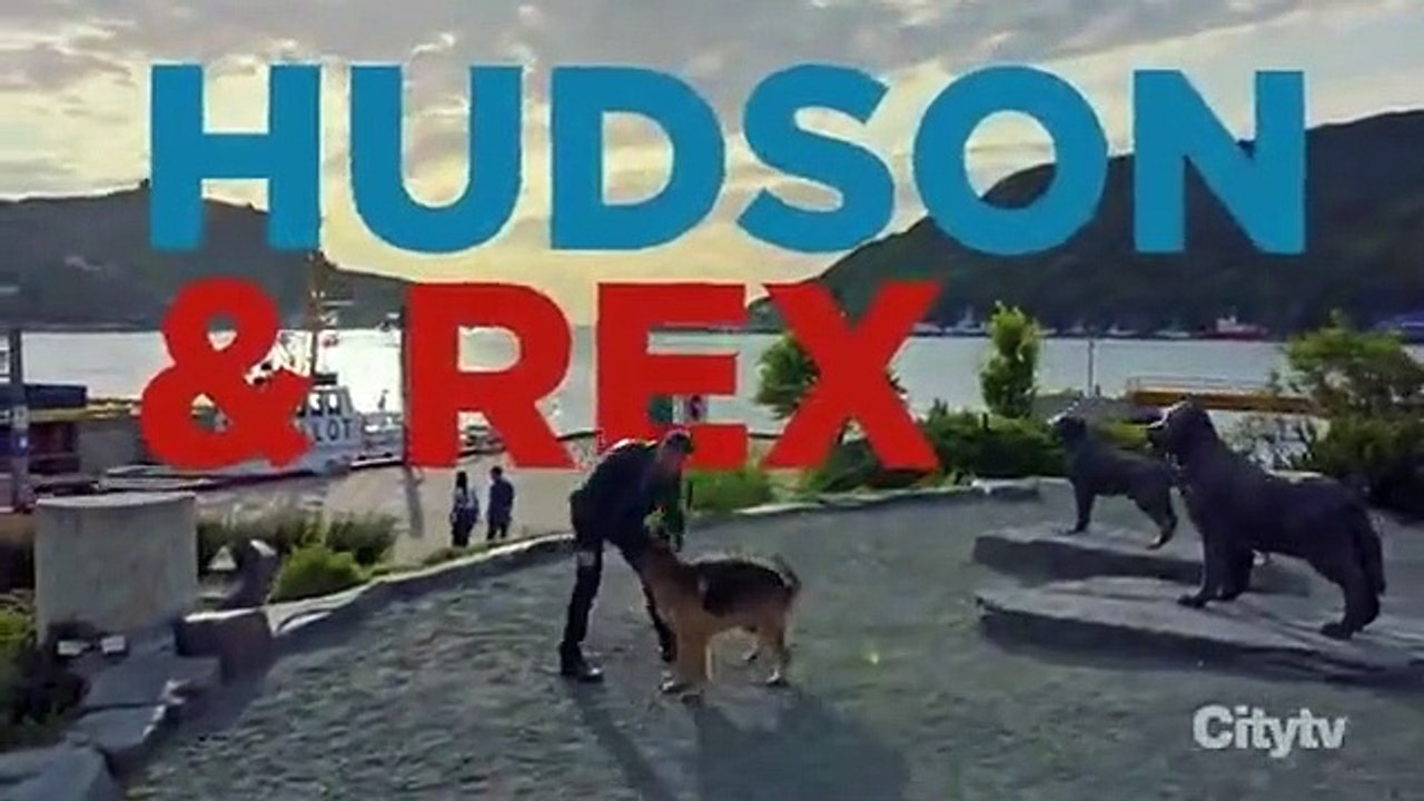Hudson $$ Rex - Se2 - Ep14 - Tunnel Vision HD Watch