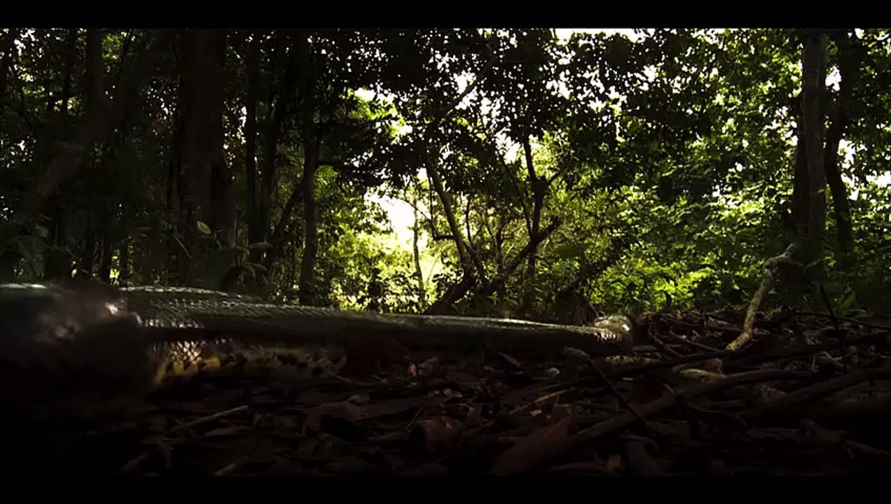 The Chosen One - Ep06 HD Watch