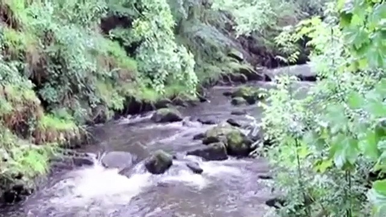 Close Calls - On Camera - Se1 - Ep13 HD Watch