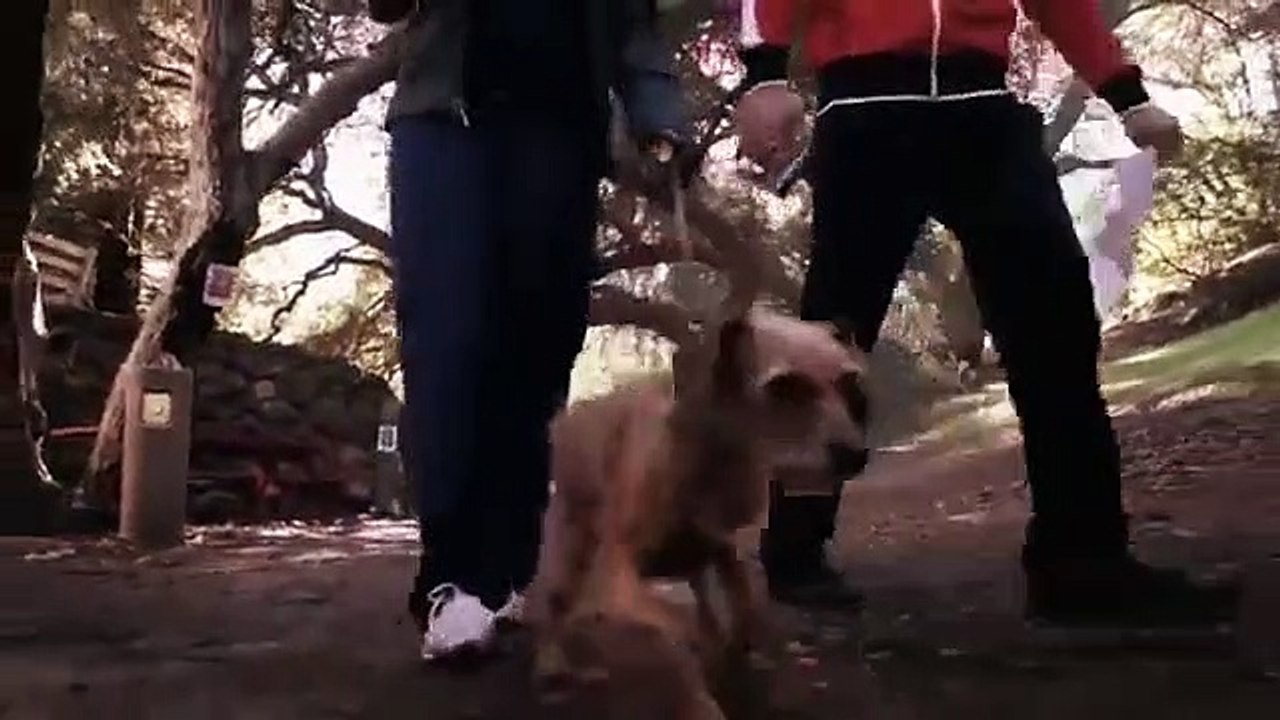 Make It or Break It - Se2 - Ep18 - Dog Eat Dog HD Watch