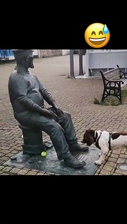 Funny video! short comedy video