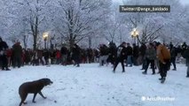 Dog prompts a ceasefire in massive college campus snowball fight