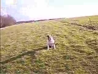 chouchou en obé & les positions à distance