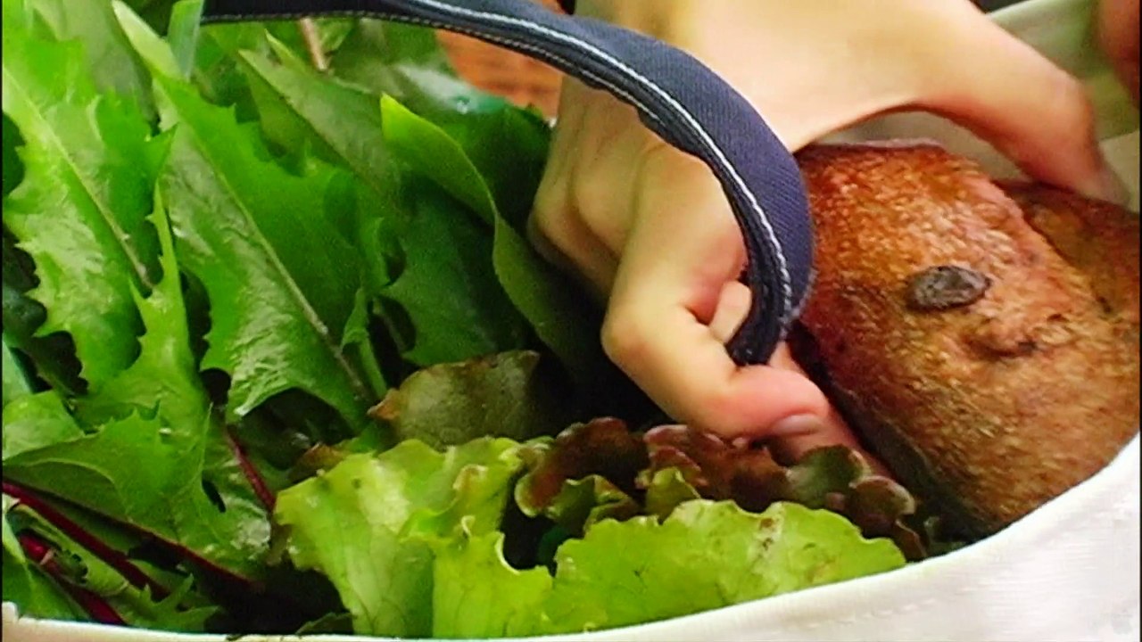 No Impact Man (2009) | Official Trailer, Full Movie Stream Preview