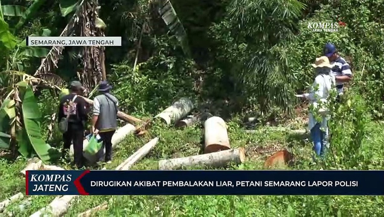 Dirugikan Akibat Pembalakan Liar, Petani Semarang Lapor Polisi