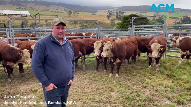 Studs open gates for 2023 Stock & Land Beef Week